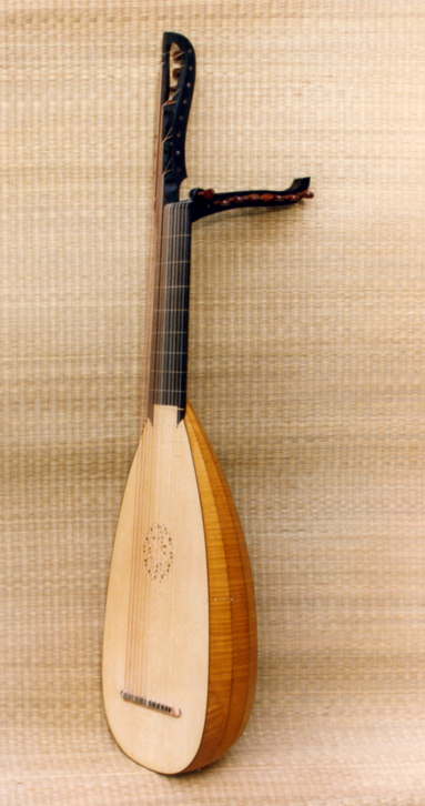 12 course lute