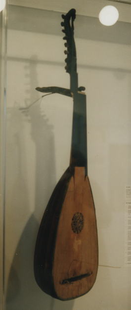 12 course lute