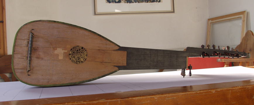 12 course lute